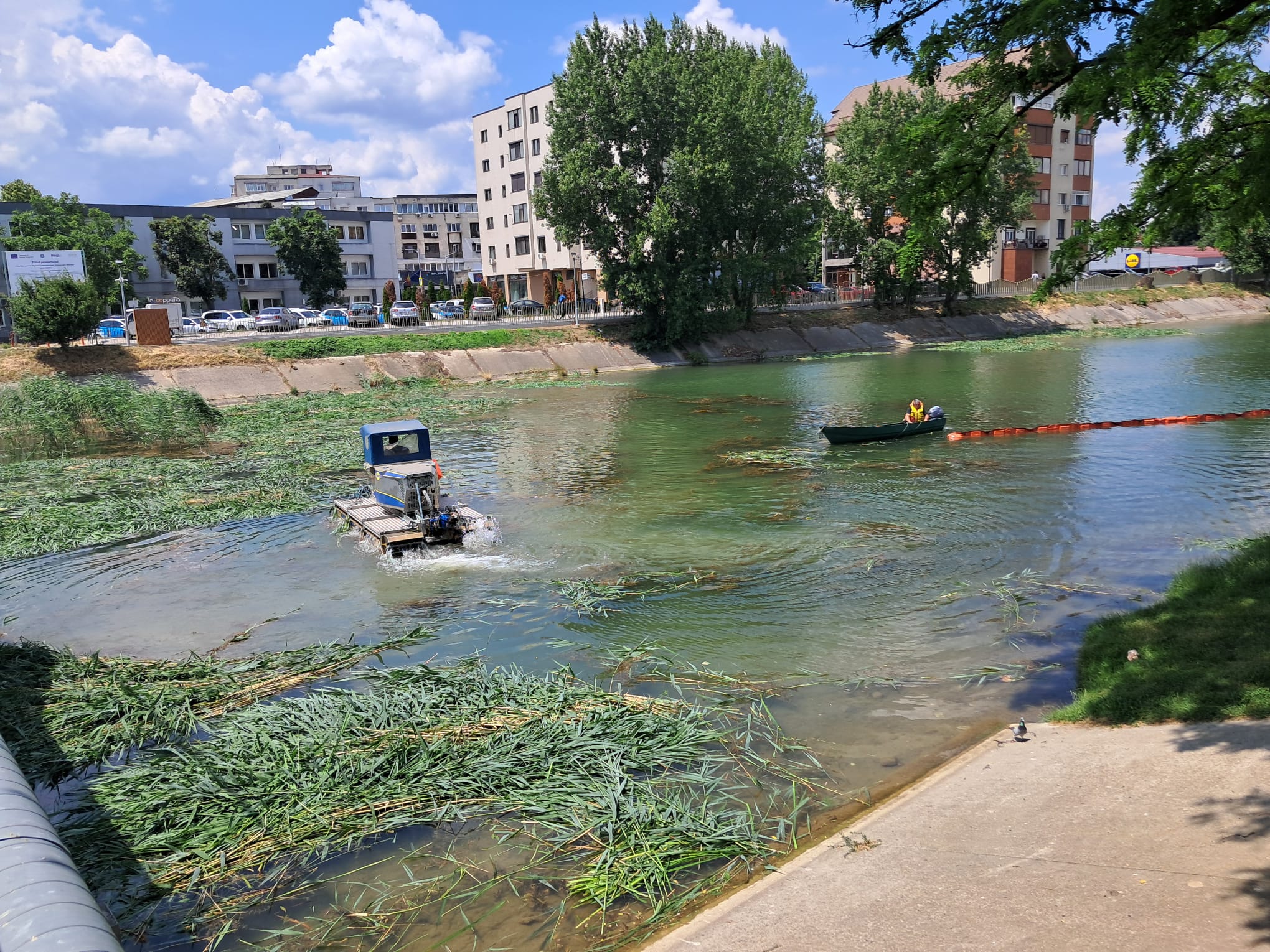 SGA Bacău a început astăzi operațiunile de cosire a stufului de pe Lacul de Agrement