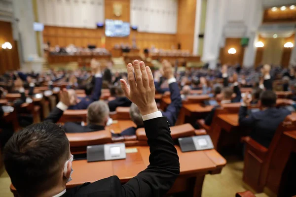 Parlamentarii băcăuani răspund la întrebarea: ”Este investit sau cade guvernul Veștea?”