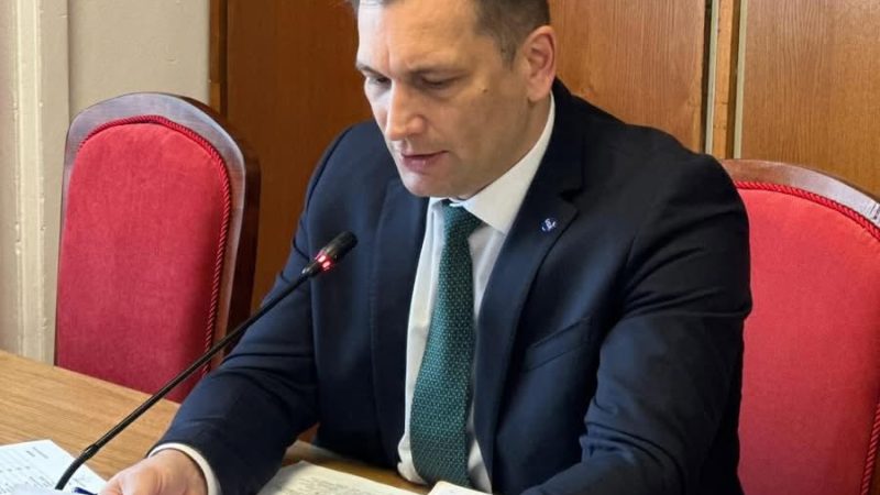 Senatorul Sebastian Cernic: „Probabil din septembrie vom avea un guvern PSD-UDMR susținut de AUR”