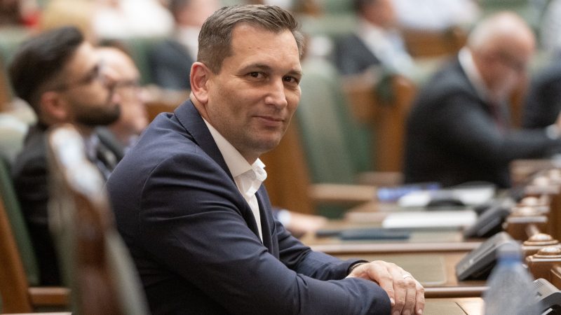 Ajutor pentru crescătorii de suine și bovine. Trei proiecte coinițiate de senatorul USR Sebastian Cernic, adoptate de Parlament