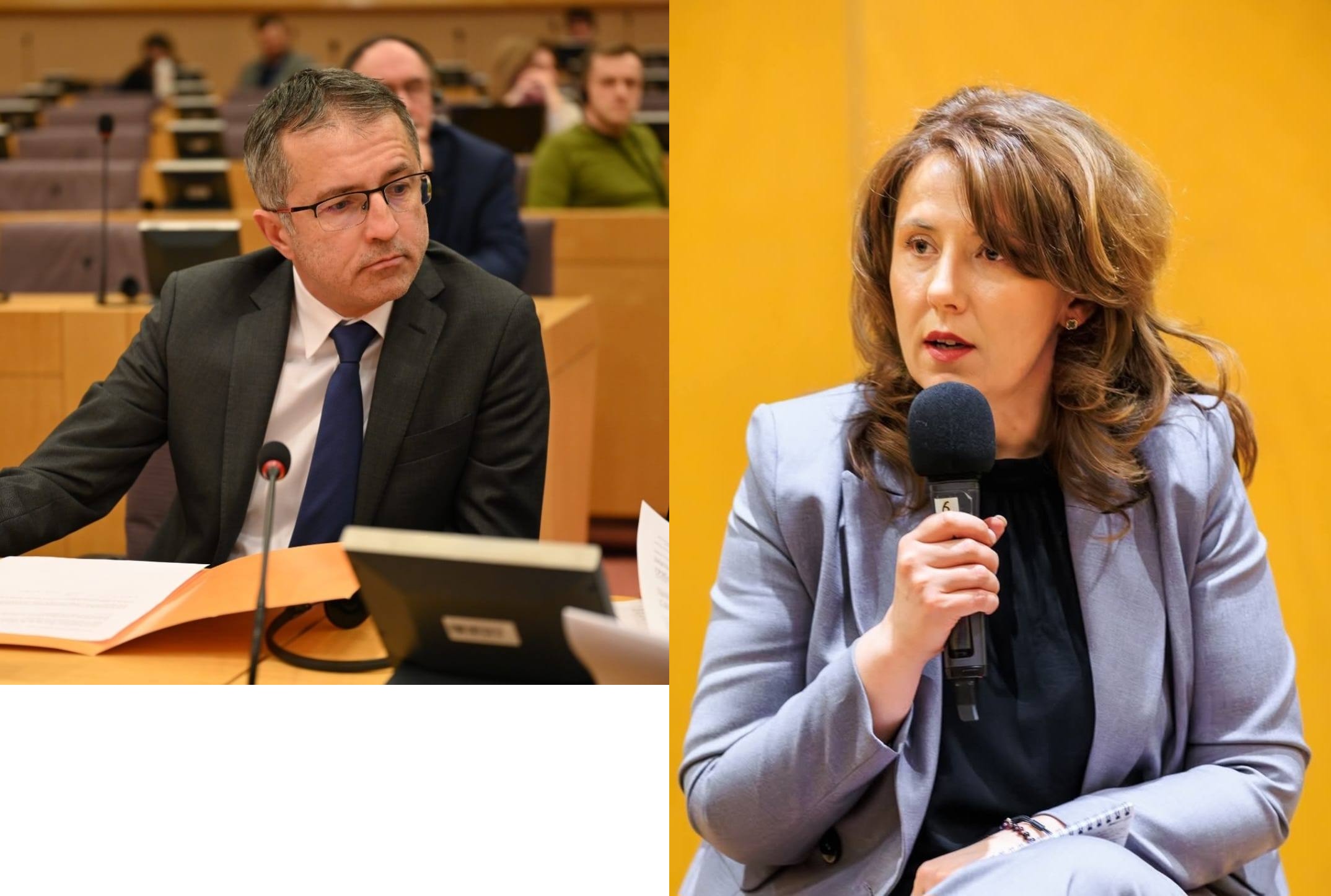 Cine conduce, de fapt, Consiliul Județean Bacău? Benea, în teren cu administratorul public, fără Cristina Breahnă-Pravăț