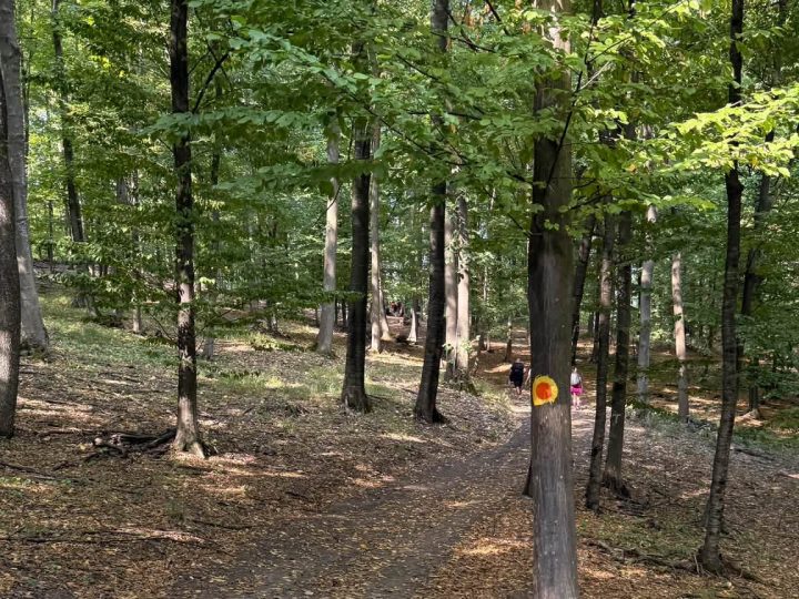 Primarul comunei Măgura, Iordache Costrăș: Cărările Măgurii, inaugurate astăzi, invitație la evadare în natură, la doi pași de Bacău