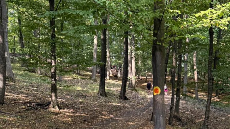 Primarul comunei Măgura, Iordache Costrăș: Cărările Măgurii, inaugurate astăzi, invitație la evadare în natură, la doi pași de Bacău