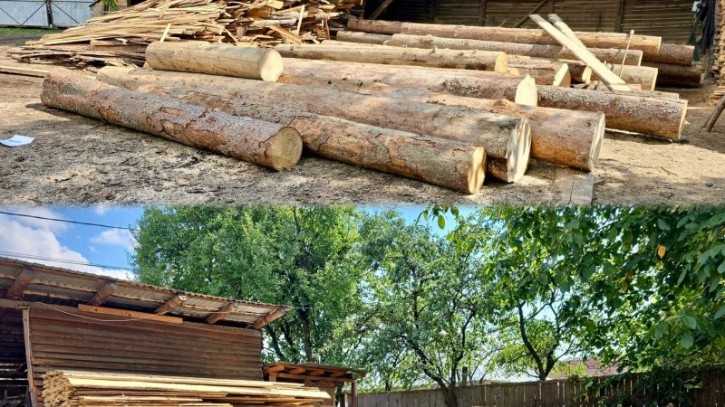 Lemnul se fură și în era tehnologiei. SUMAL-ul nu închide toate portițile