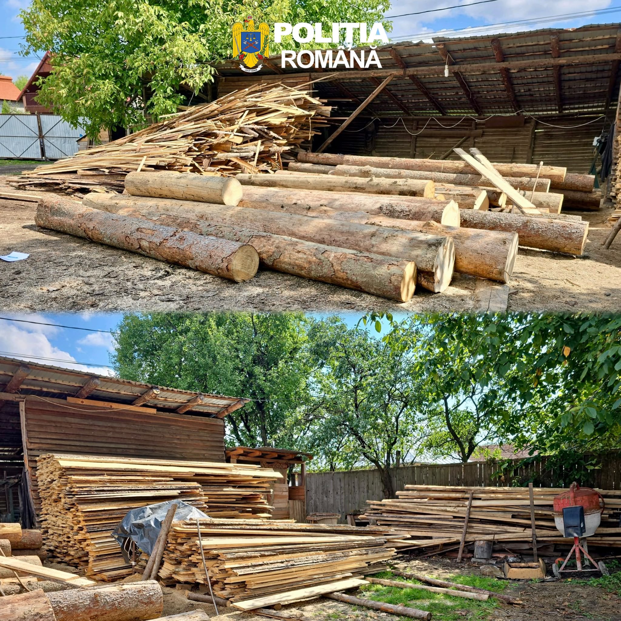 Lemnul se fură și în era tehnologiei. SUMAL-ul nu închide toate portițile