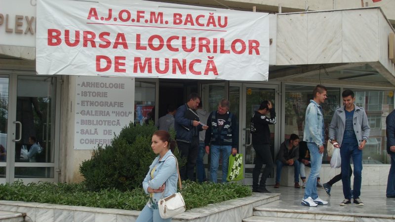 Acces direct la locuri de muncă pentru absolvenții din Bacău: Bursa Locurilor de Muncă are loc pe 9 octombrie