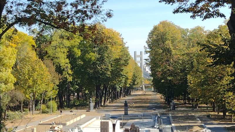 FOTO: Parcul Cancicov, între culorile toamnei și lucrările de reabilitare
