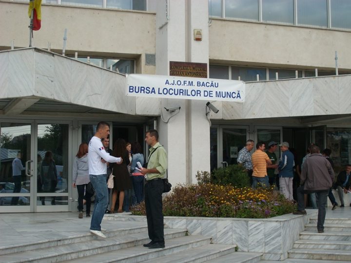 Angajatorii se plâng că nu găsesc oameni, dar când sunt chemați la bursă, mulți lipsesc