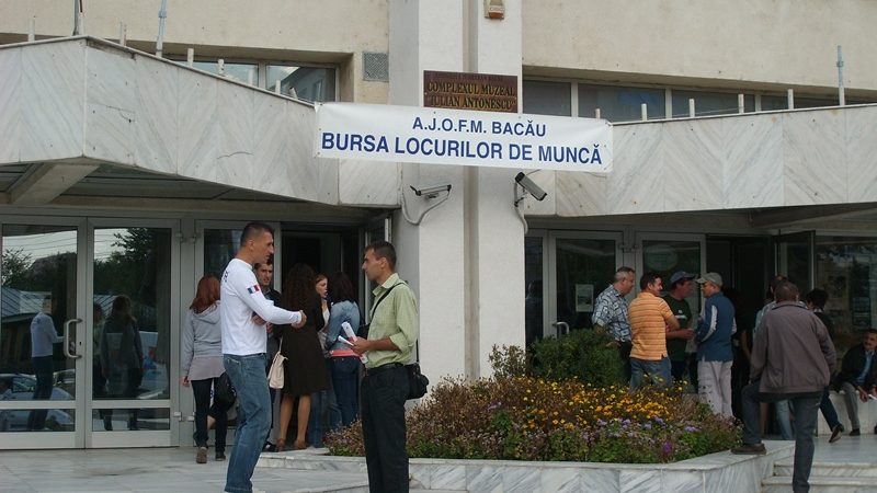 Angajatorii se plâng că nu găsesc oameni, dar când sunt chemați la bursă, mulți lipsesc