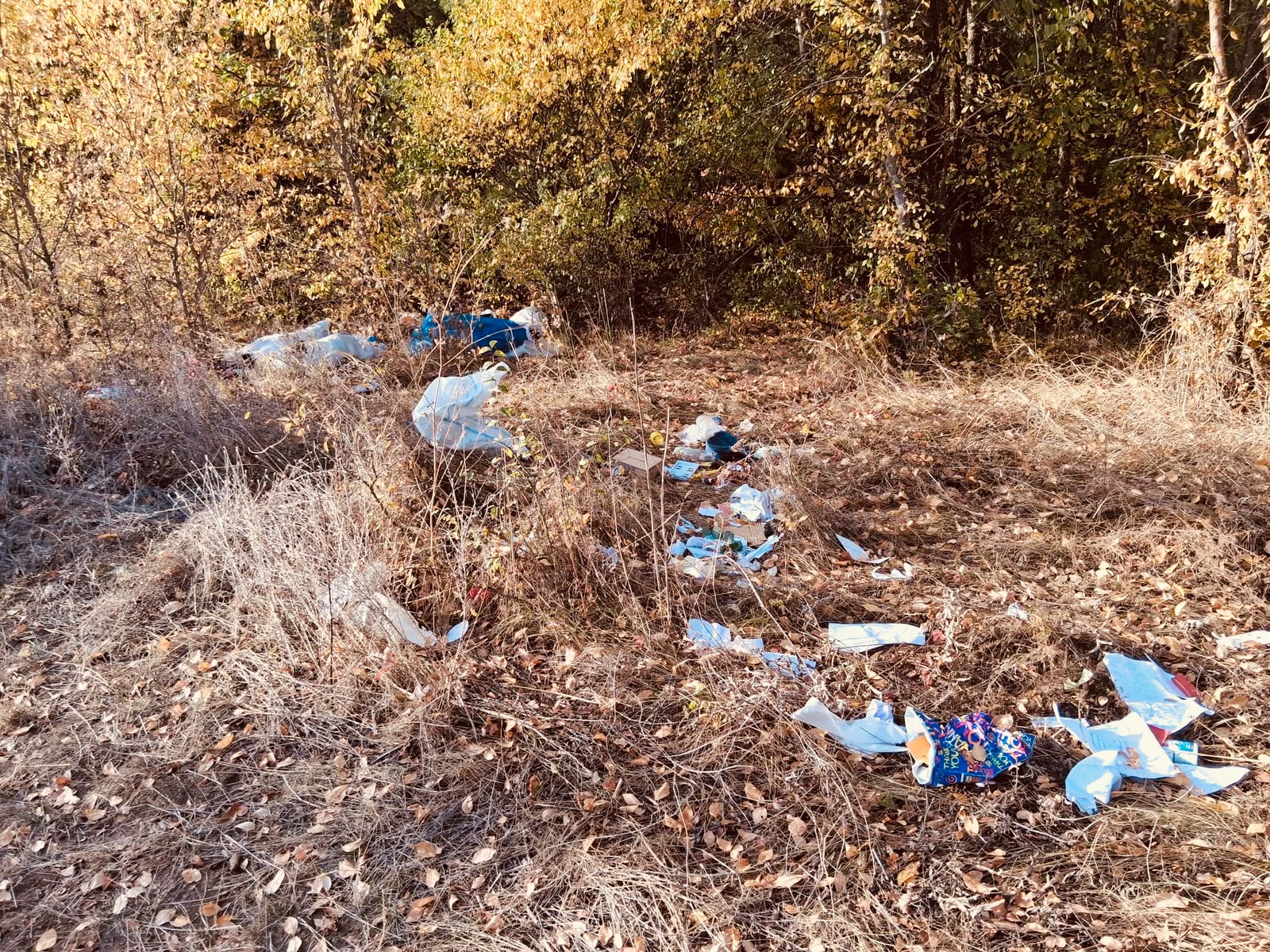 Deșeuri abandonate, descoperite de jandarmii băcăuani. Indiciul care a dus la identificarea persoanei responsabil