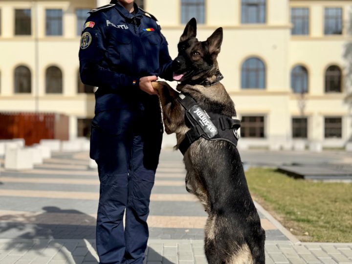 De Ziua Internațională a Animalelor, Poliția Bacău reamintește: Grija și respectul față de animale sunt responsabilitatea noastră, în fiecare zi