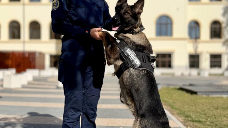 De Ziua Internațională a Animalelor, Poliția Bacău reamintește: Grija și respectul față de animale sunt responsabilitatea noastră, în fiecare zi